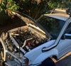 Nissan Navara  (1997-2015) D22 4