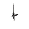 Lexus Rx330 (2003-2006) MCU38R 3.3 LITRE PETROL - Roadsafe STR Shock/Strut - Rear