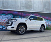 300 Series LandCruiser 4